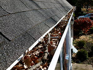 Gutter Cleaning Wilmington NC