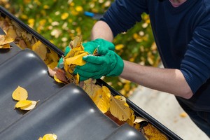 Gutter Cleaning in Hampstead