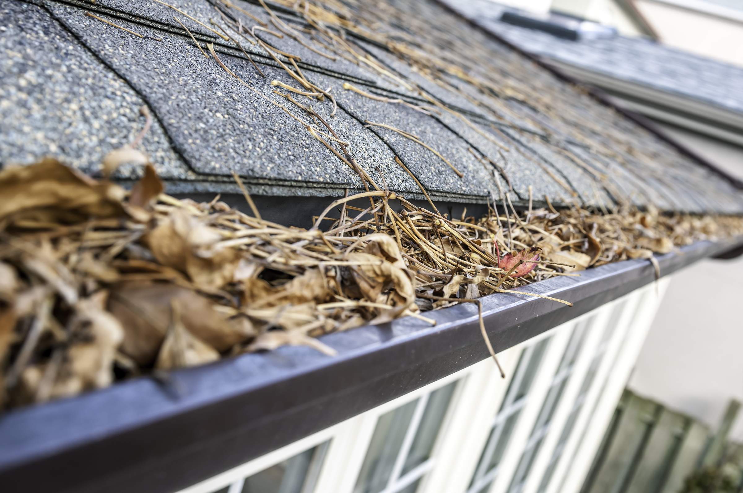 professional care for your wilmington nc gutters pro pressure washing